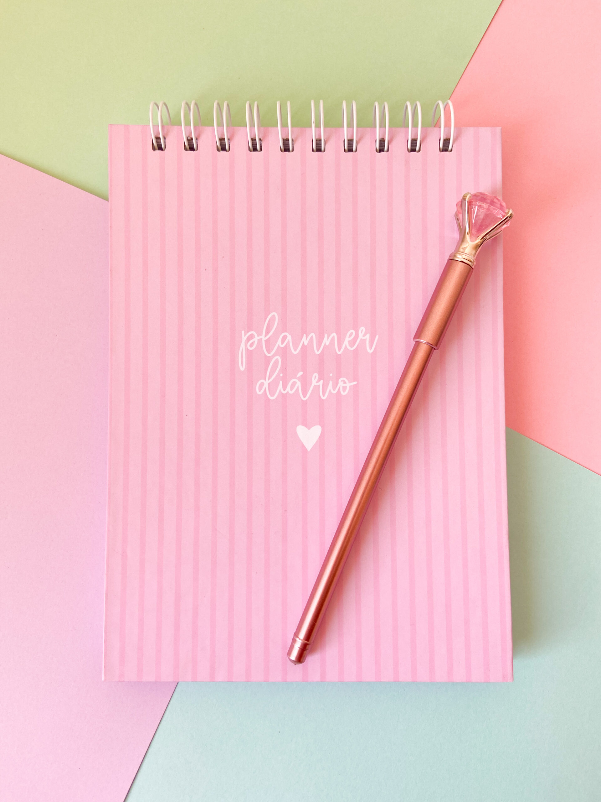 Planner Diário
